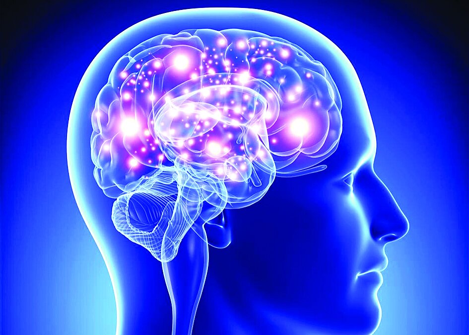 نقش کلسترول در عملکرد مغز