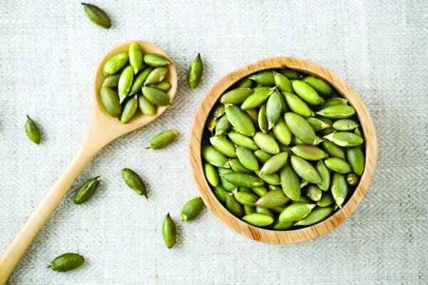 دانهای کوچک با خواص بزرگ برای قلب دانهای کوچک با خواص بزرگ برای قلب