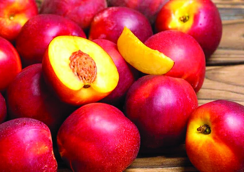 میوهای بینظیر برای تقویت کبد و تصفیه خون میوهای بینظیر برای تقویت کبد و تصفیه خون
