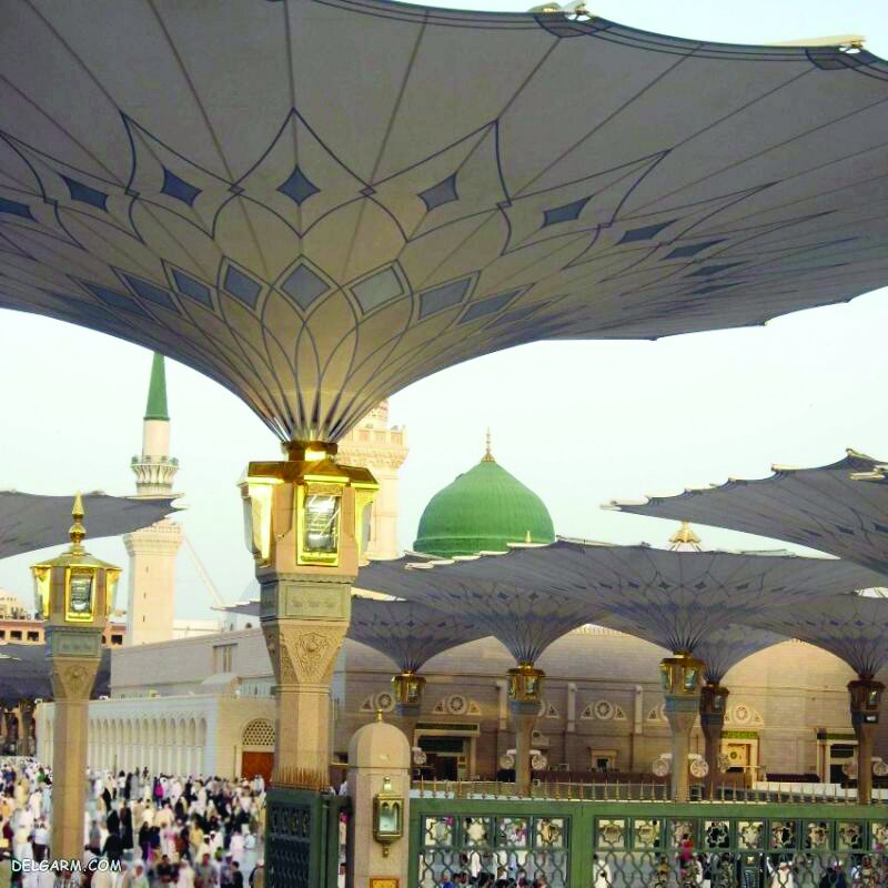 ‌ «اتحاد مقدس» رمز پیروزی کشورهای اسلامی