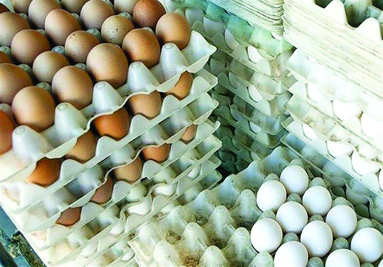 ۴۷ هزار تن تخم مرغ خرید حمایتی شد ۴۷ هزار تن تخم مرغ خرید حمایتی شد