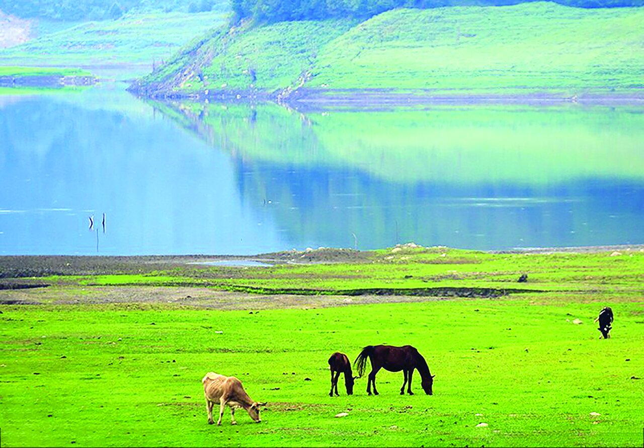 طبیعت سد لفور