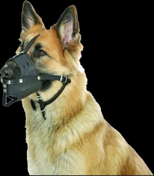 نادیدهانگاری قانون عرف و مذهب