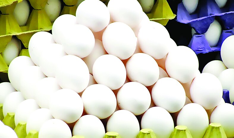 تخم مرغ هر عدد ۶ هزار تومان