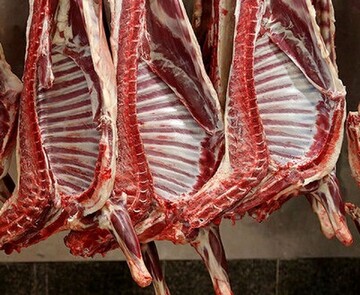 هیاهوی گوشت‌های آلوده وارداتی از مغولستان