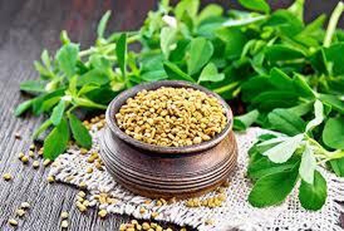 گیاهی که باورتان نمی‌شود ضد کلسترول و قند خون باشد