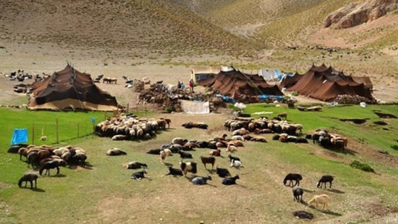 ۵۰ تا ۷۰ درصد فعالیت تولید غذا توسط زنان روستایی و عشایری است