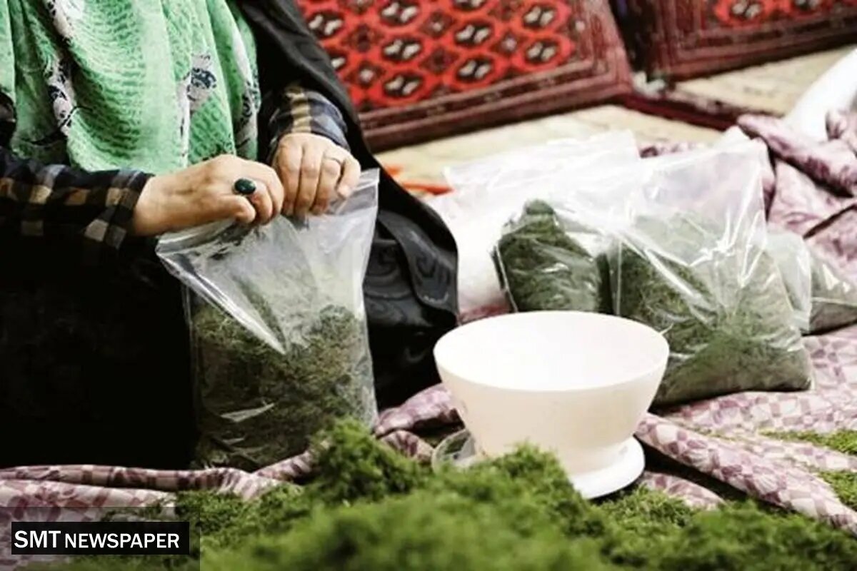 از آموزش تا اشتغال؛ مسیر تحول مشاغل خانگی در مناطق محروم از آموزش تا اشتغال؛ مسیر تحول مشاغل خانگی در مناطق محروم