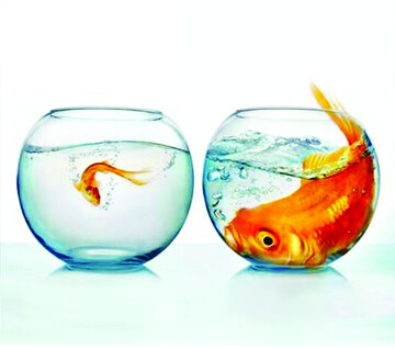 مقایسه نادرست زندگیها و حس عجیب عقبماندگی از دیگران