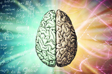 تمرینات ذهنی میتوانند پیری مغز را تا ۱۰ سال معکوس کنند