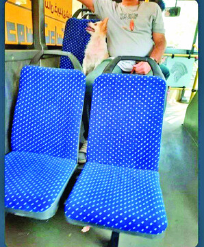 زندگی آشکار حیوانات خانگی