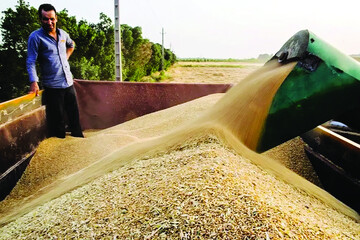 گرانفروشان و مُحتکران، نقره‌داغ می‌شوند