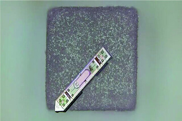 ابداع یک ایمپلنت مغزی کوچک‌تر از یک دانه نمک!