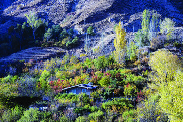 خزان هزاررنگ همدان