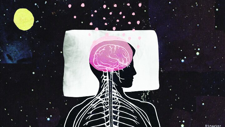 چرا مغز در خواب فعال‌تر  از بیداری است؟