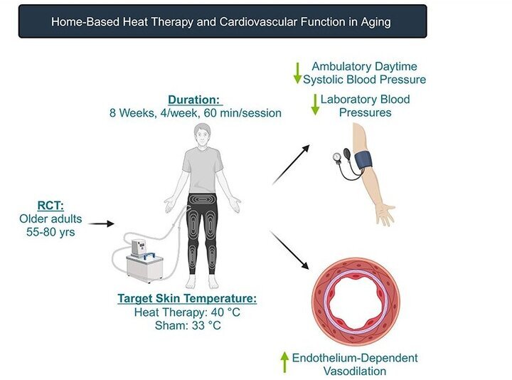 شلوار داغ فشار خون را کاهش می‌دهد!