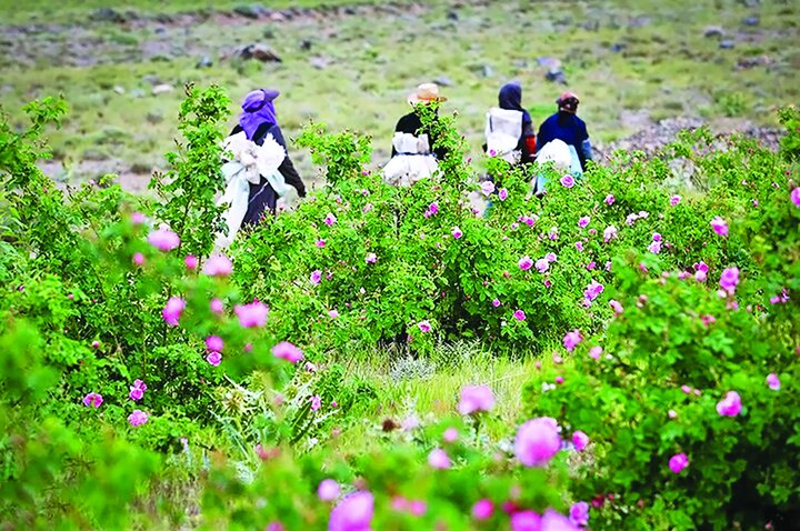 تقویت اقتصاد ملی از مسیر روستاها