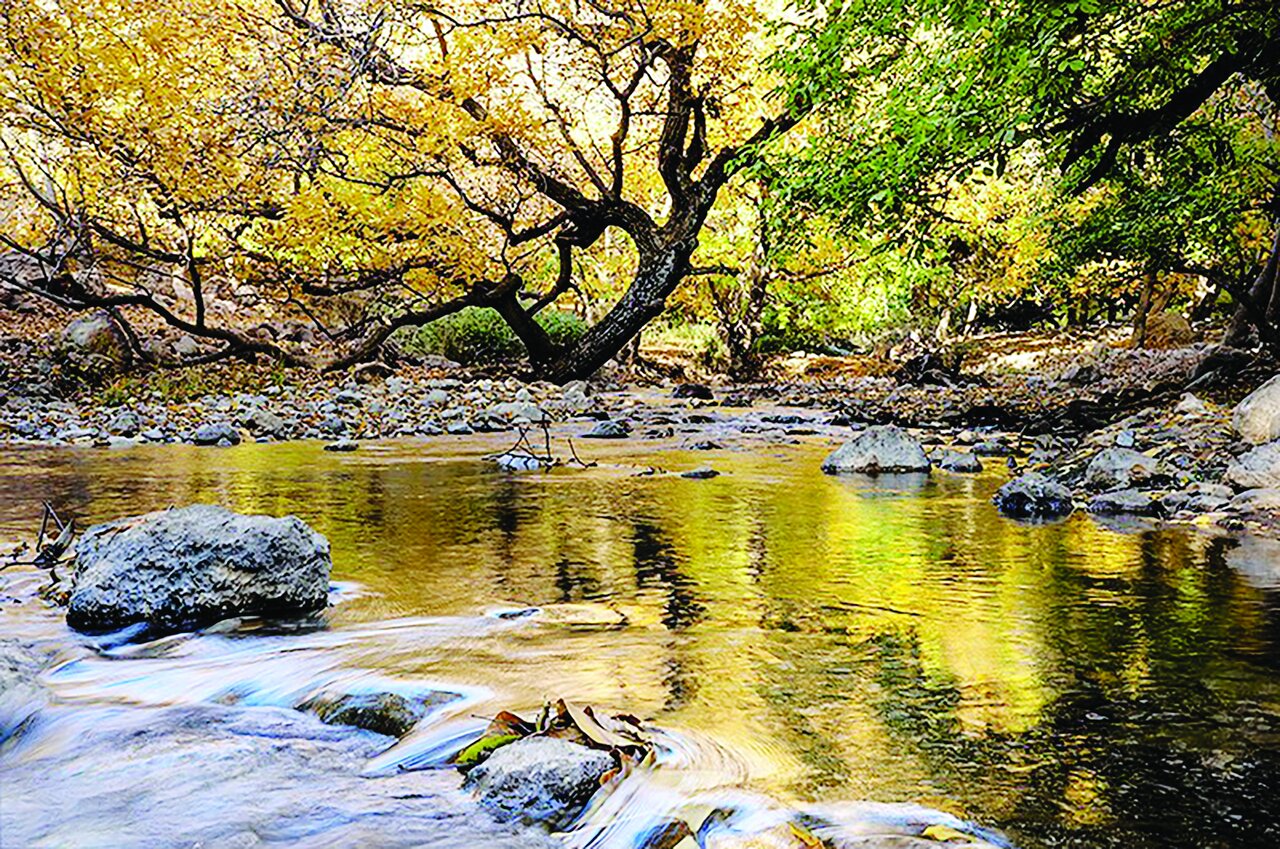 طبیعت پاییزی باغ‌های گردو کهمان شهرستان سلسله