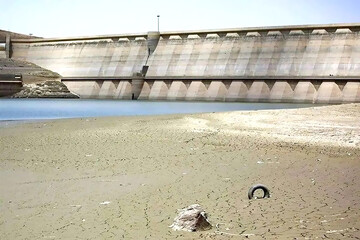 عـلاج در تدبیر  است