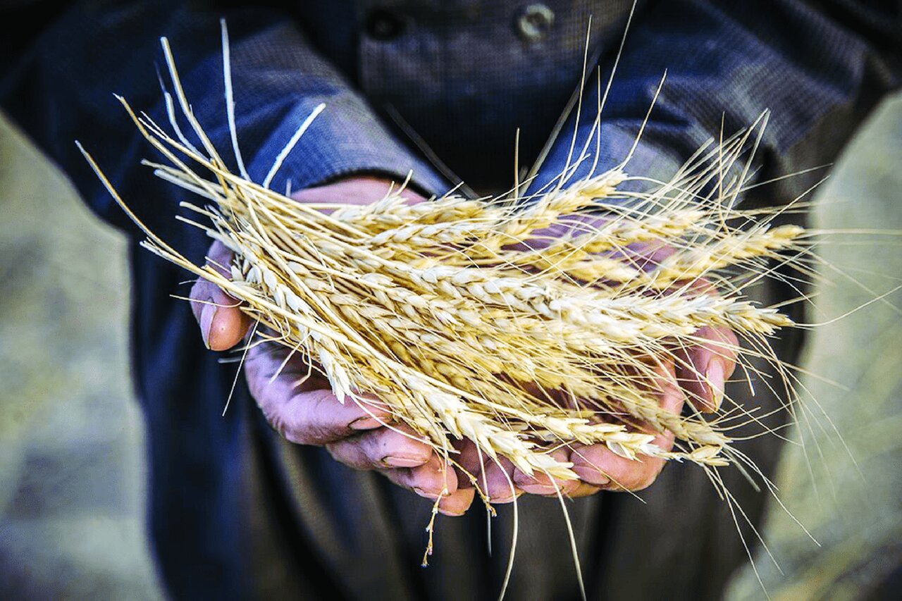 دل ما تنگ مشرق طلایی ایران است