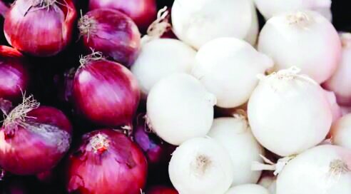 آیا پیاز سفید و قرمز ارزش غذایی یکسانی دارند؟