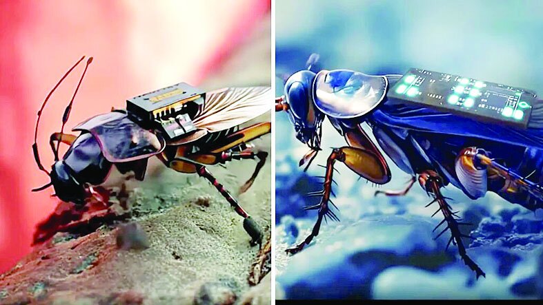 سوسک‌های جاسوس با کوله‌پشتی وارد میدان شدند