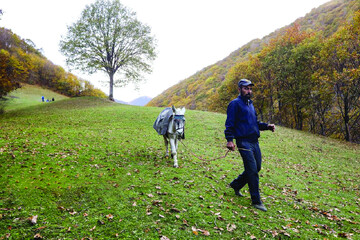 طبیعت پاییزی روستای نمنق