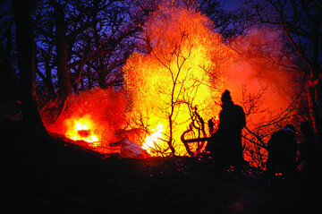 تدبیر  و  عمل می‌خواهد
