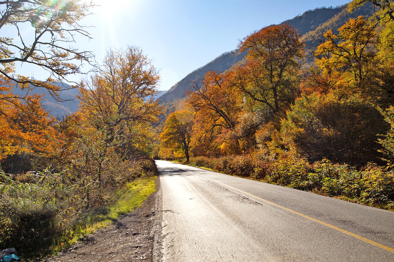 قاب بکر طبیعت