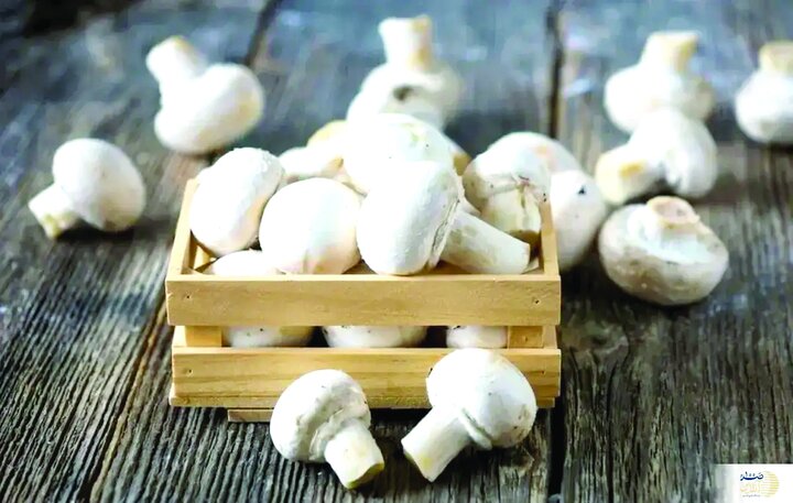 فواید قارچ برای قلب