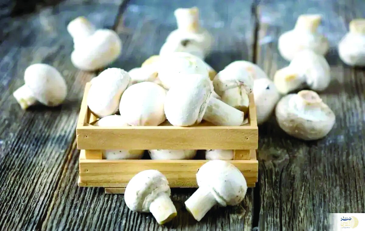 فواید قارچ برای قلب