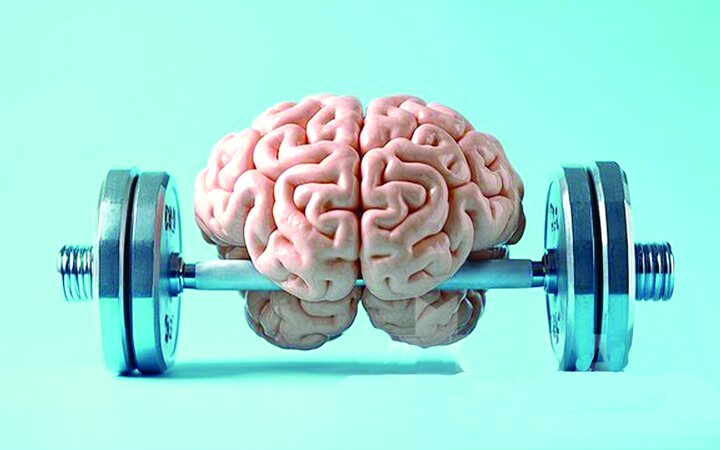 عضلات قوی‌تر، چربی کمتر