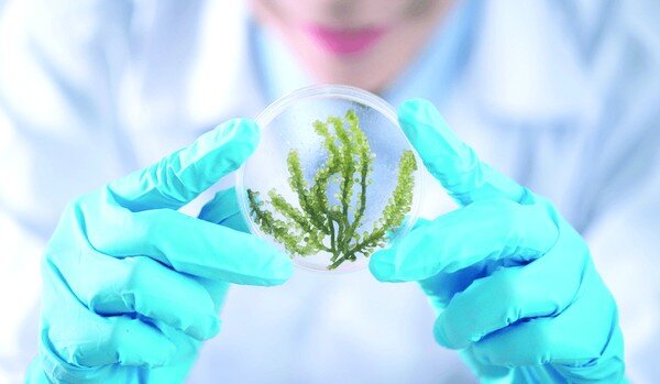 حتی یک فشنگ به بسیج ندهید!