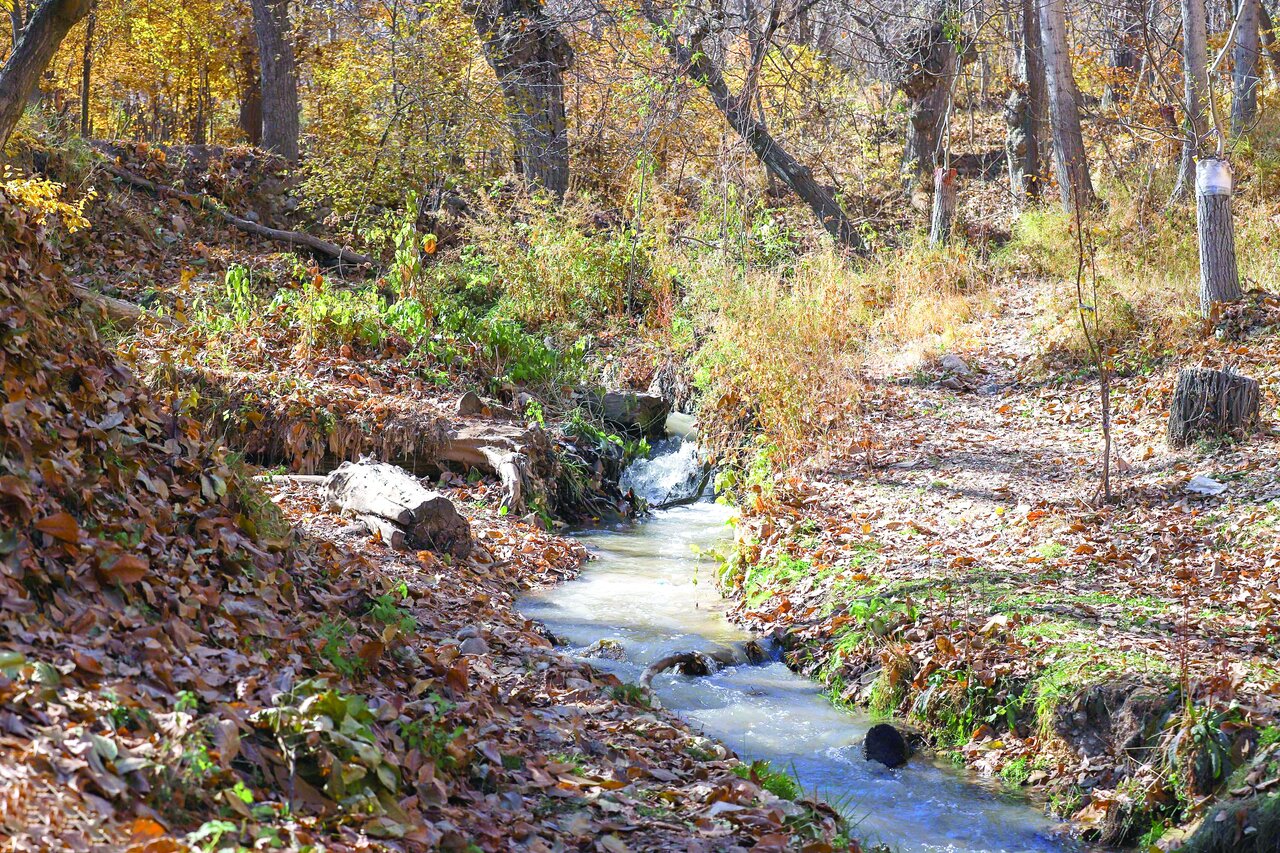 پاییز روستای وفس