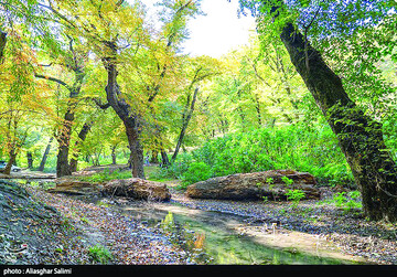 طبیعت پاییزی چشمه لال گلستان