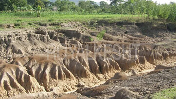 فرسایش خاک در کشور بین  ۱۶ تا ۲۵ تن در هکتار است