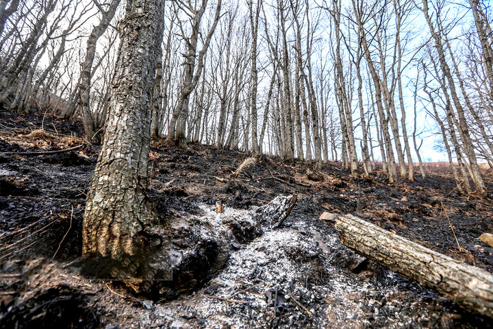 دیزمار ،  پس از  آتش