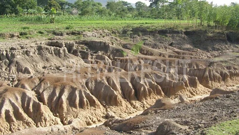 فرسایش خاک در کشور بین  ۱۶ تا ۲۵ تن در هکتار است