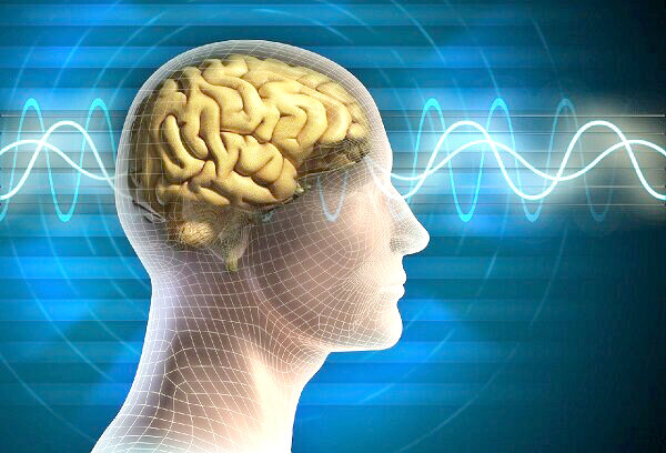 خواندن سیگنال‌های پنهان مغز با فناوری جدید پژوهشگر  ایرانی