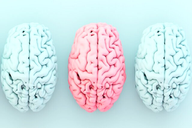 ارتباط شگفت‌انگیز میان یک ماده مغذی کلیدی، چاقی و خطر آلزایمر