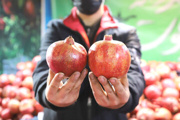 جشنواره صد دانه یاقوت در فرهنگسرای اشراق