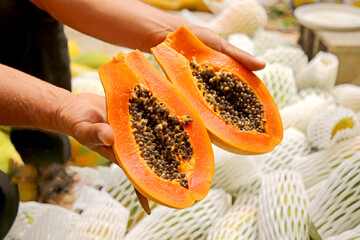 مزرعه «پاپایا»