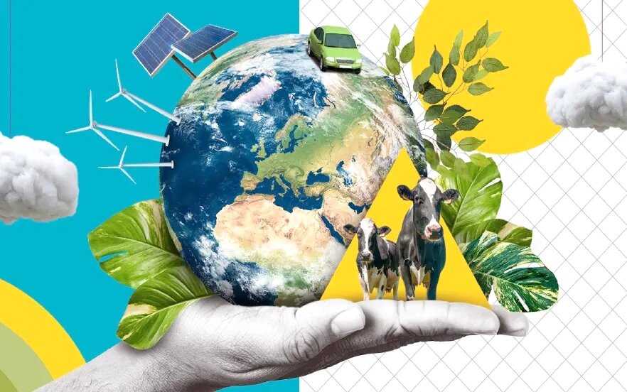 ۲۰ راهکار ساده برای کمک به محیط زیست در زندگی روزمره