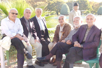 رفع مشکل بیمه تکمیلی بازنشستگان تا یک ماه آینده