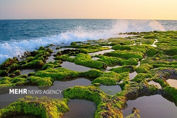 این سرزمین برکت دارد