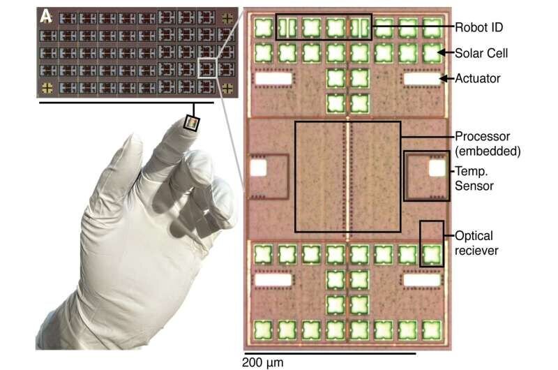 ربات‌های میکروسکوپی هوشمند جراحان آینده درون بدن انسان