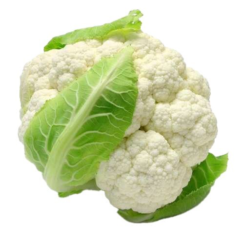 چگونه گل کلم تازه را تشخیص دهیم؟