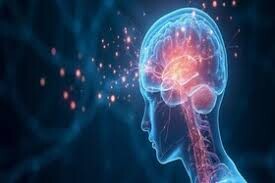 چرا لحظات احساسی ماندگارترند؟