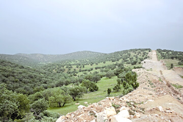 صرف نیمی از درآمد نفت برای احیای خاک زاگرس
