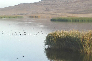 آبگیری ۳۰ درصد تالاب